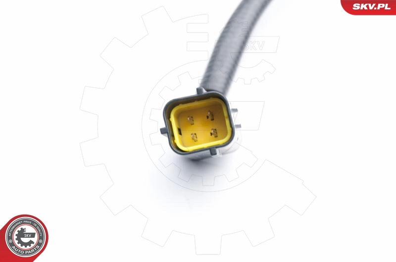 Oxygen Sensor